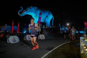 BIB: 
                            <button type="button" onclick="openModal(26551966)" class="btn btn-primary btn-sm float-right btn-popup" data-toggle="modal" data-target=".modal-high-quality">
                        <i class="fas fa-shopping-cart"></i> Add to Cart
                    </button>
                                            <button type="button" onclick="isThisMe(26551966, true)" class="btn btn-success btn-sm float-right btn-popup btn-isme hidden" data-toggle="tooltip" data-placement="bottom" title="นี่คือรูปของคุณใช่ไหม คลิกที่นี่เพื่อเอาเข้าอัลบั้ม">
                        <i class="fas fa-plus"></i> Add to album
                    </button>
                    <button type="button" onclick="isThisMe(26551966, false)" class="btn btn-warning btn-sm float-right btn-popup btn-isnotme hidden">
                        <i class="fas fa-ban"></i> Remove from album
                    </button>